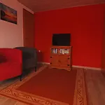 Ferien Unterm Reetdach Bis Zu 6 Personen 公寓